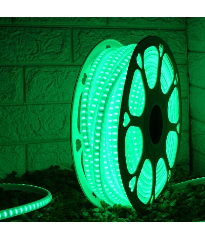     			ASTERN - Green 5Mtr LED Rope Light ( Pack of 1 )