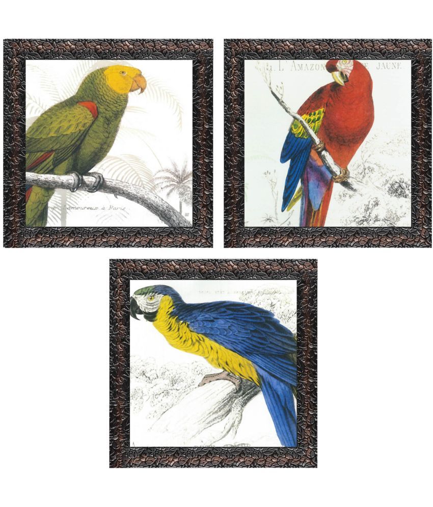     			Indianara - Bird Painting With Frame