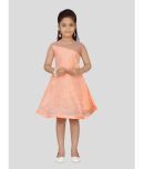 Aarika Net Fit And Flare Dress For Girls ( Pack of 1 , Peach )