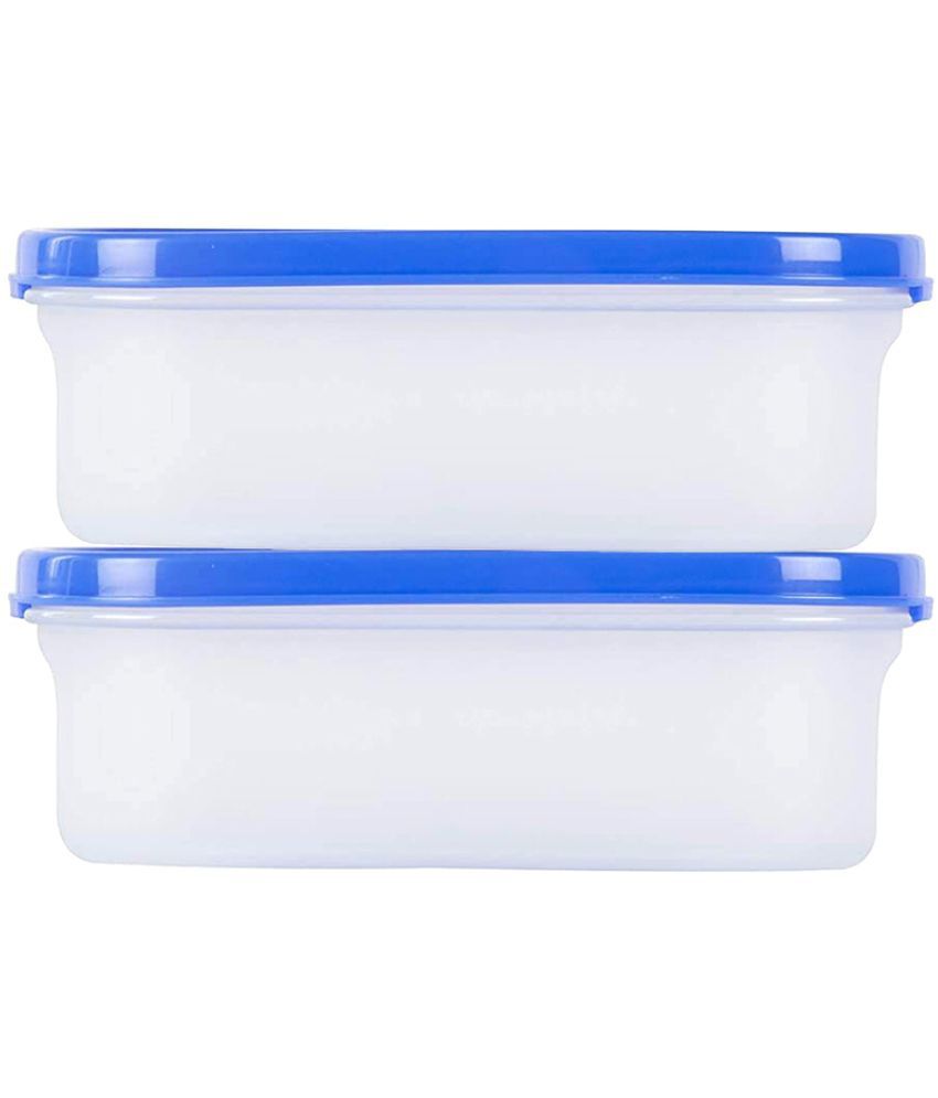     			HOMETALES Plastic Multi-Purpose Food Container, 500ml (2U)
