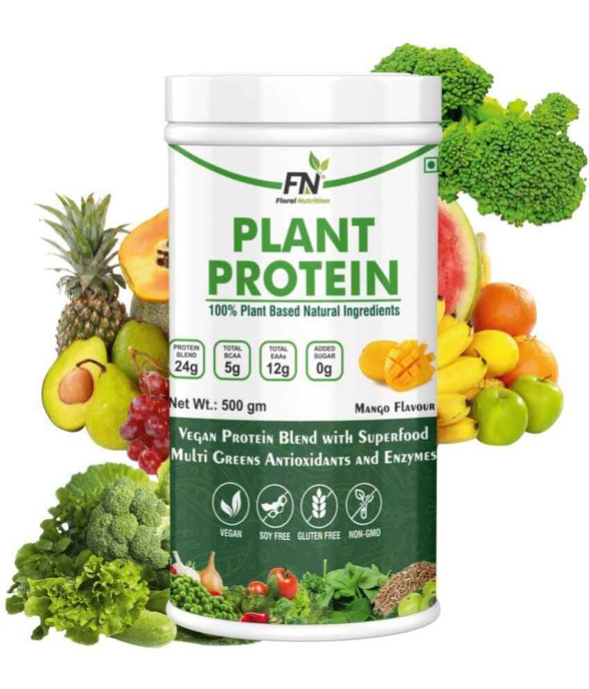     			Floral Nutrition - 100% Plant Protein Powder Plant Protein Powder ( 500 gm Mango )