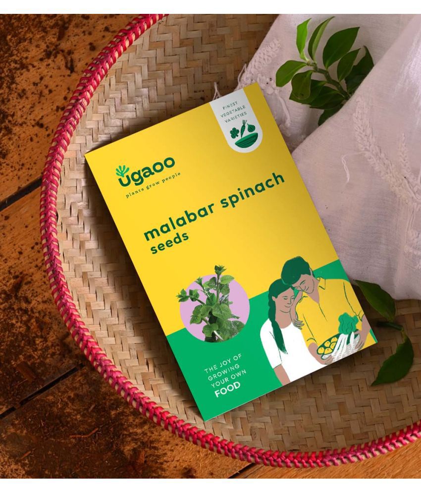     			UGAOO Spinach Vegetable ( 8 Seeds )