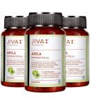 Jiva Ayurveda Amla Tablet 120 (Pack of 3)