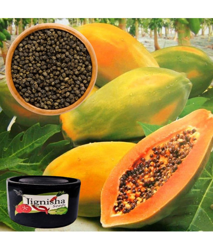     			Jignisha Fashion Papaya Fruit ( 50 Seeds )