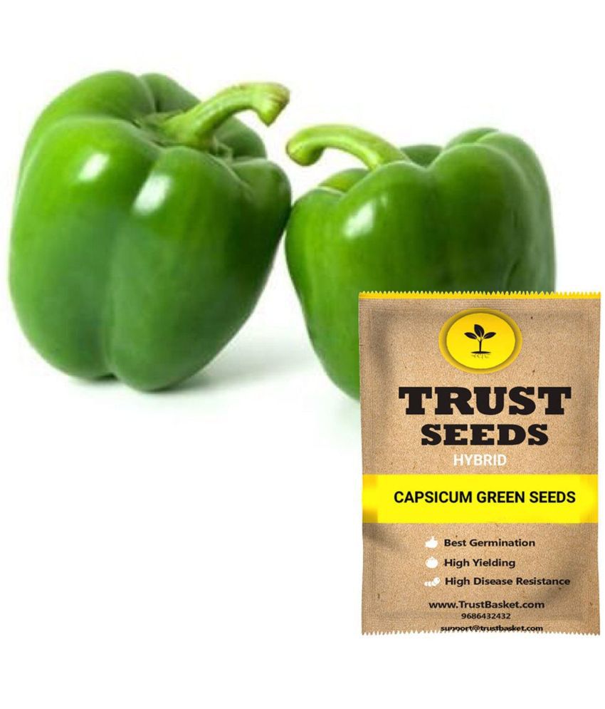     			TrustBasket Capsicum Green Vegetable Seeds Hybrid (15 Seeds)