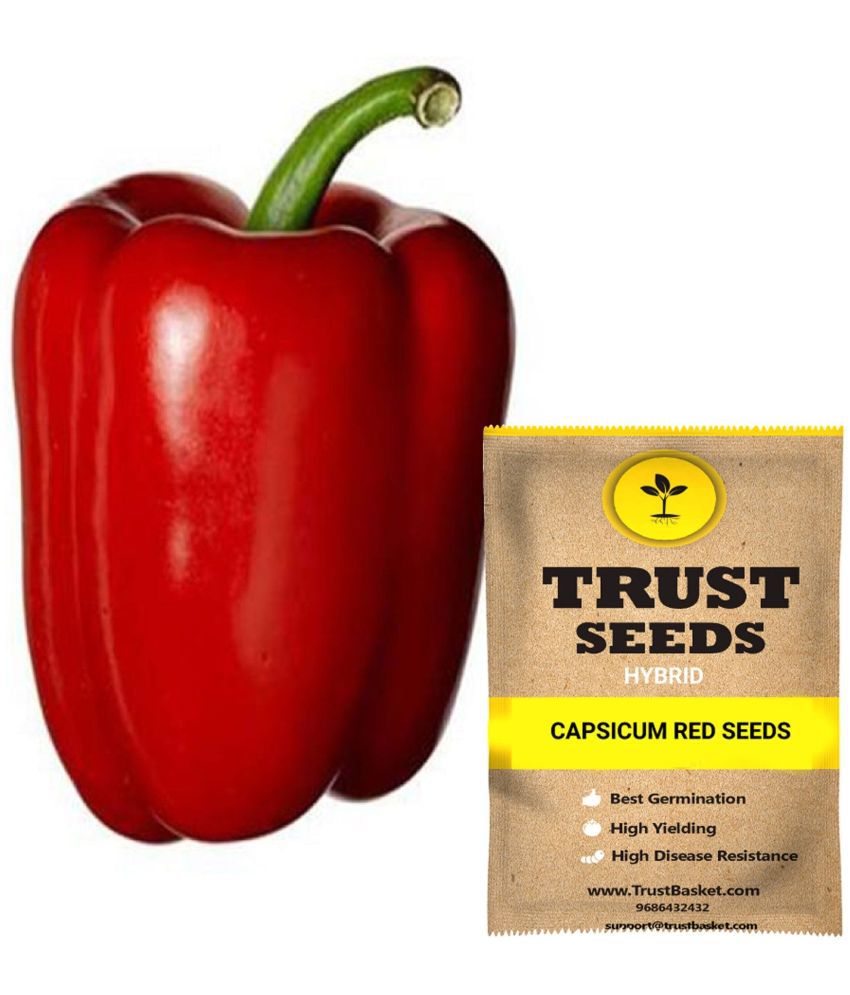     			Trust Basket Red Capsicum Vegetable Seeds Hybrid (15 Seeds)