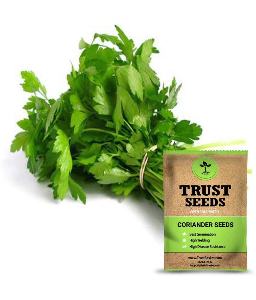     			TrustBasket Coriander Seeds OP (15 Seeds)