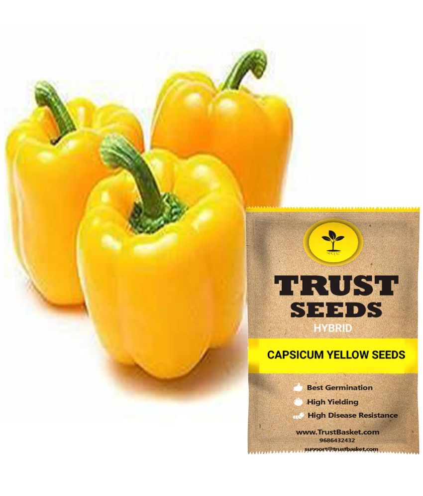     			Trust Basket Capsicum Yellow Vegetable Seeds Hybrid (15 Seeds)