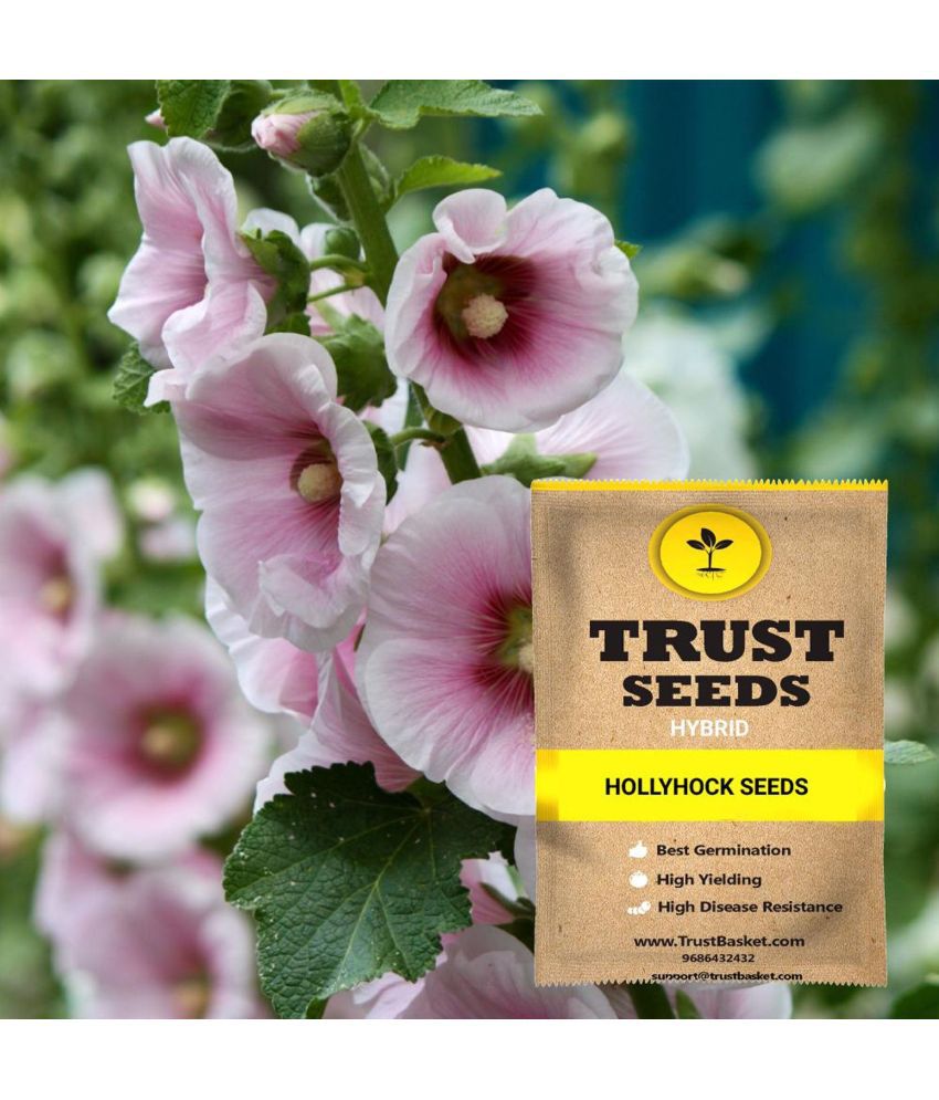     			TrustBasket Hollyhock Seeds Hybrid (15 Seeds)