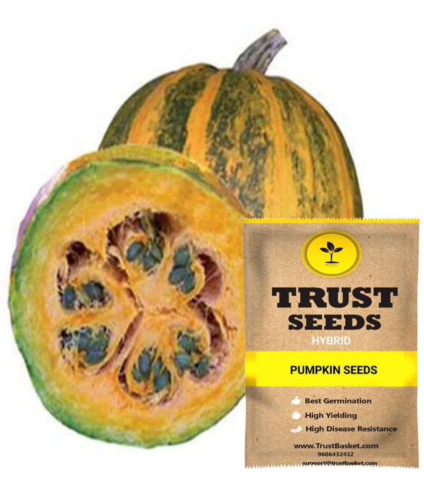     			TrustBasket Pumpkin Vegetable Seeds Hybrid (15 Seeds)