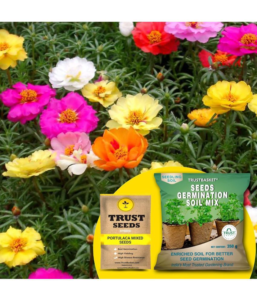     			TrustBasket Portulaca Mixed Seeds with Free Germination Potting Soil Mix Hybrid (20 Seeds)