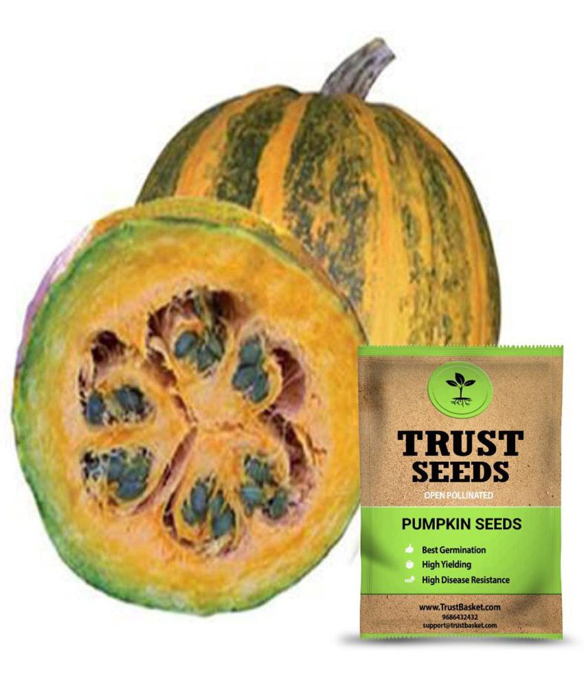     			TrustBasket Pumpkin Seeds OP (15 Seeds)