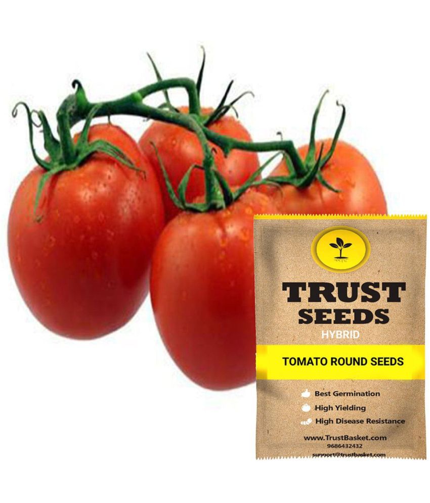     			TrustBasket Tomato Round Vegetable Seeds Hybrid (15 Seeds)