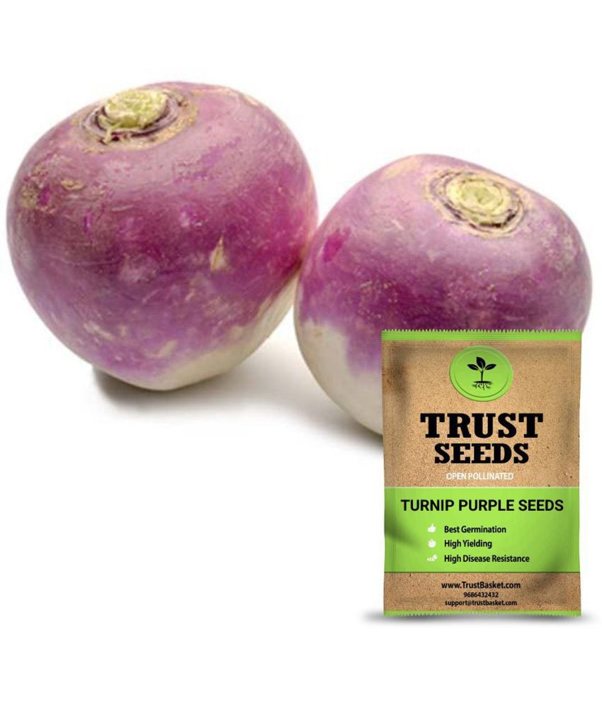    			TrustBasket Turnip Purple Seeds OP (15 Seeds)