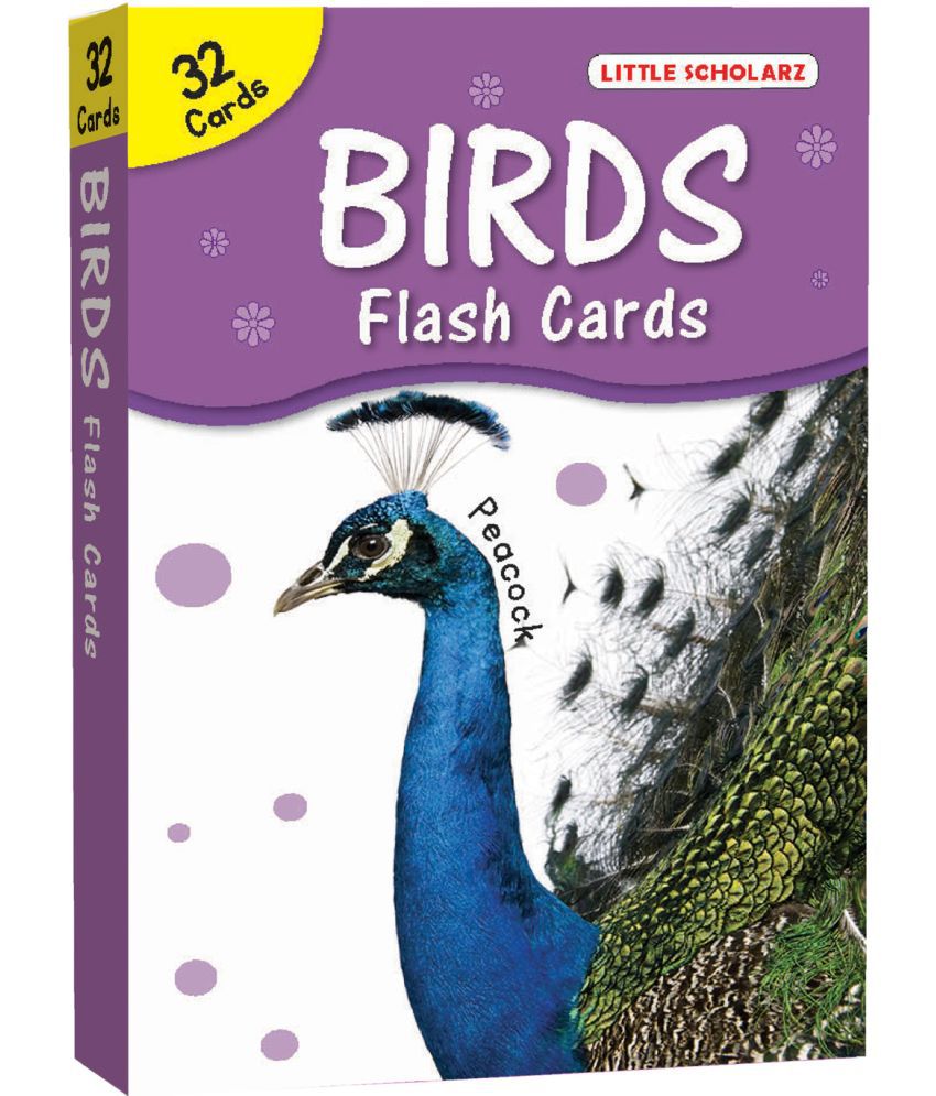    			Big Flash Cards Birds