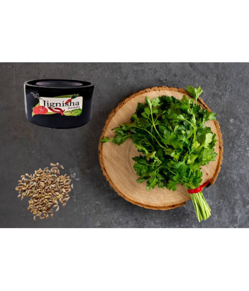     			Jignisha Fashion Coriander Vegetable ( 100 Seeds )