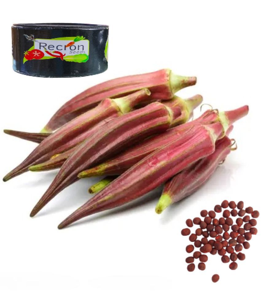     			Recron Seeds Bhindi Vegetable ( 15 Seeds )
