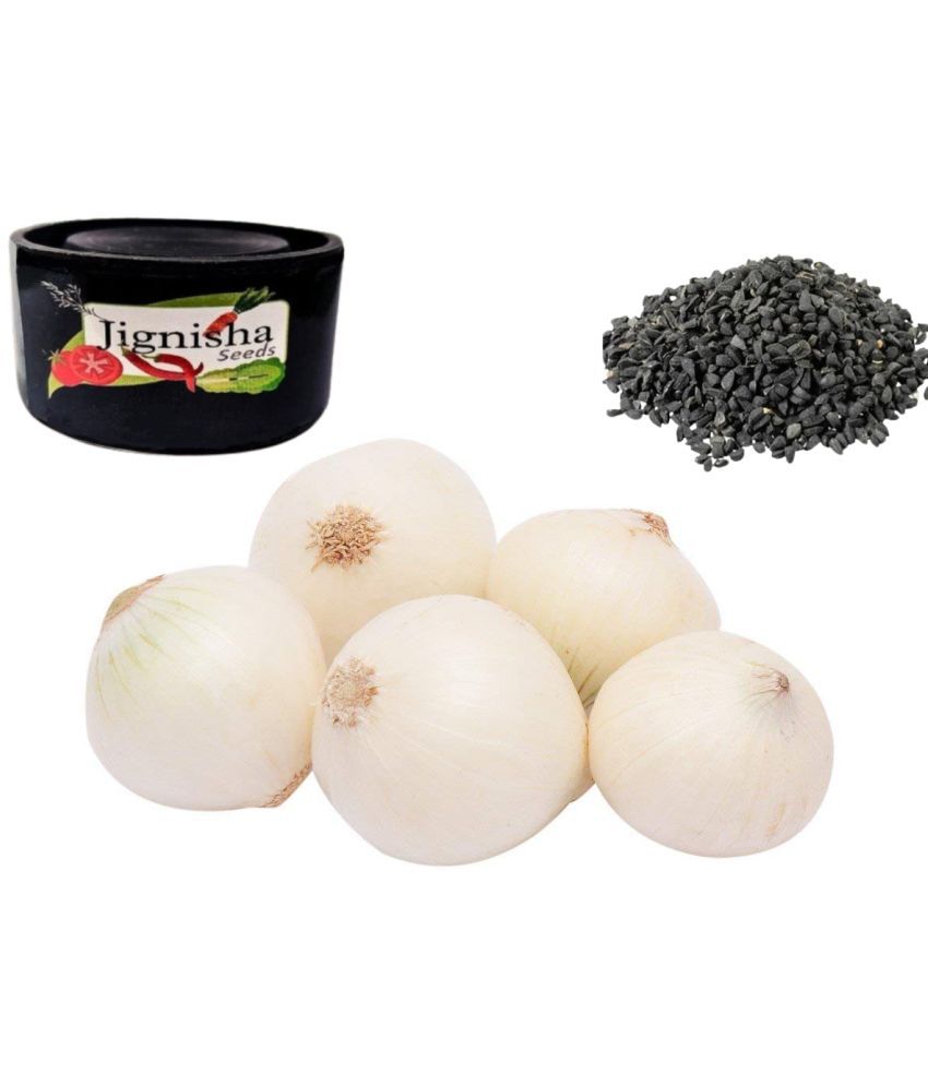     			Jignisha Seeds Onion Vegetable ( 500 Seeds )