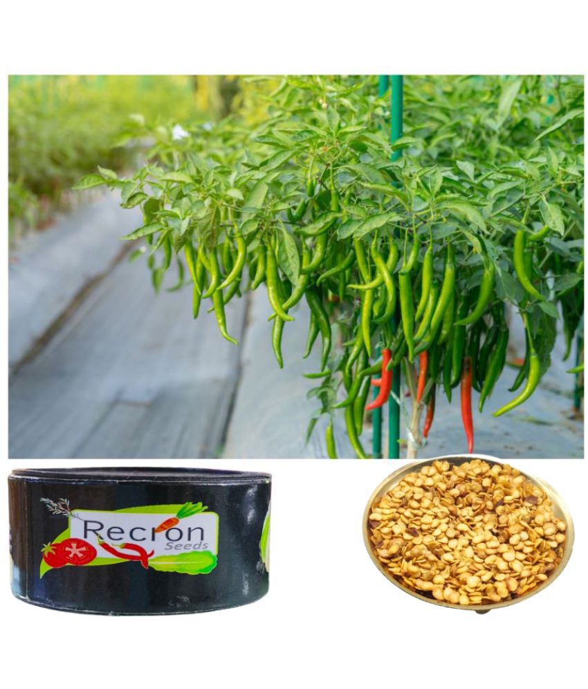     			Recron Seeds Chilli Vegetable ( 50 Seeds )