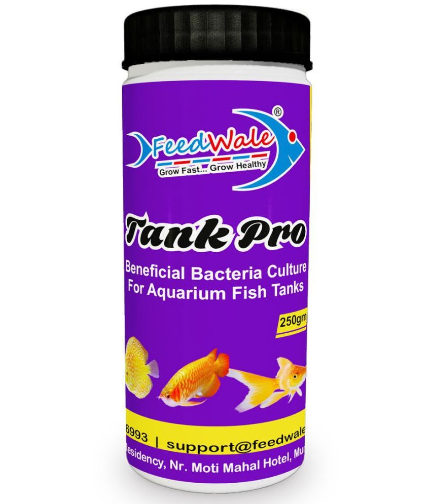     			Beneficial Bacteria Culture FeedWale Tank Pro 250gm for Aquarium Fish Tanks
