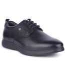 Liberty Black Men's Derby Formal Shoes