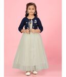 Aarika Net Gown For Girls ( Pack of 1 , Cream )