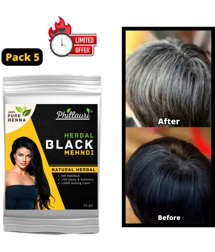     			Phillauri Ammonia Free Permanent Hair Color 20 g Black