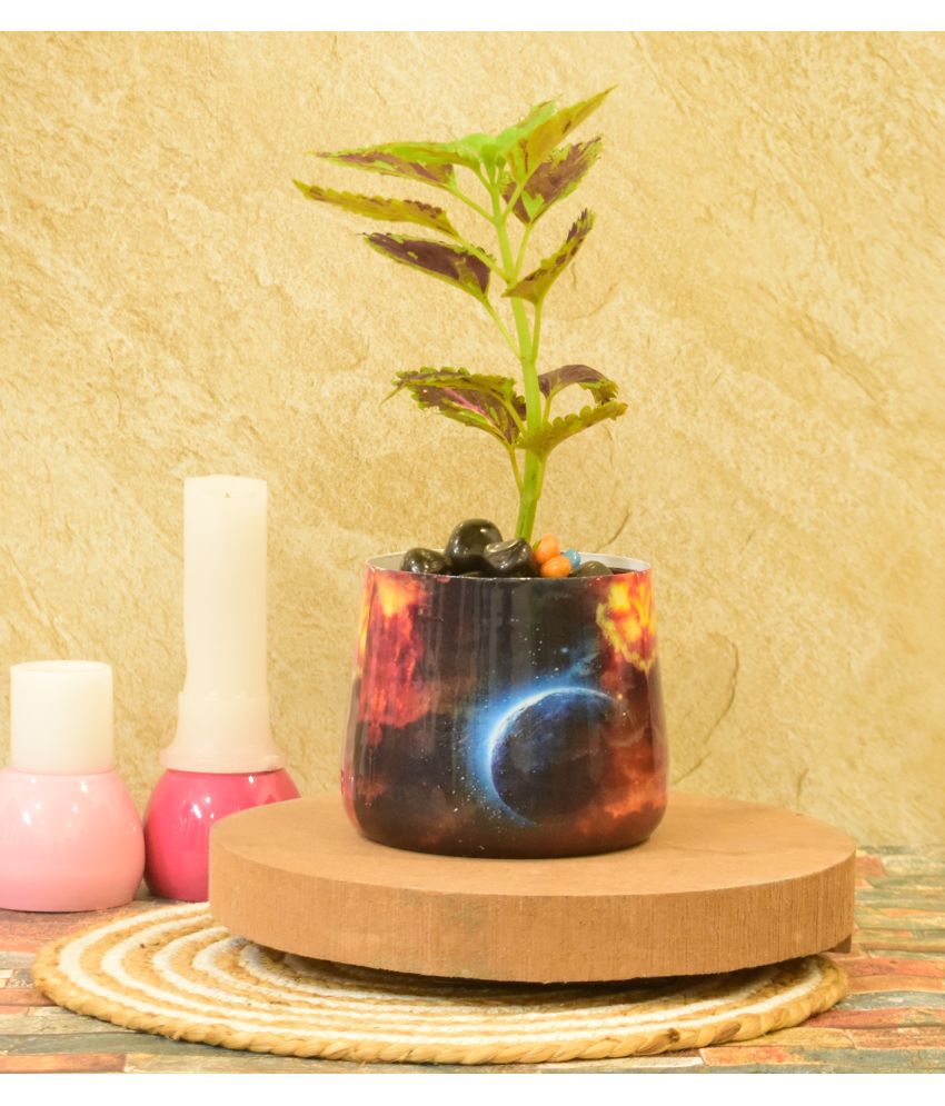     			Sone key Chidiya Multicolor Metal Flower Pot ( Pack of 1 )