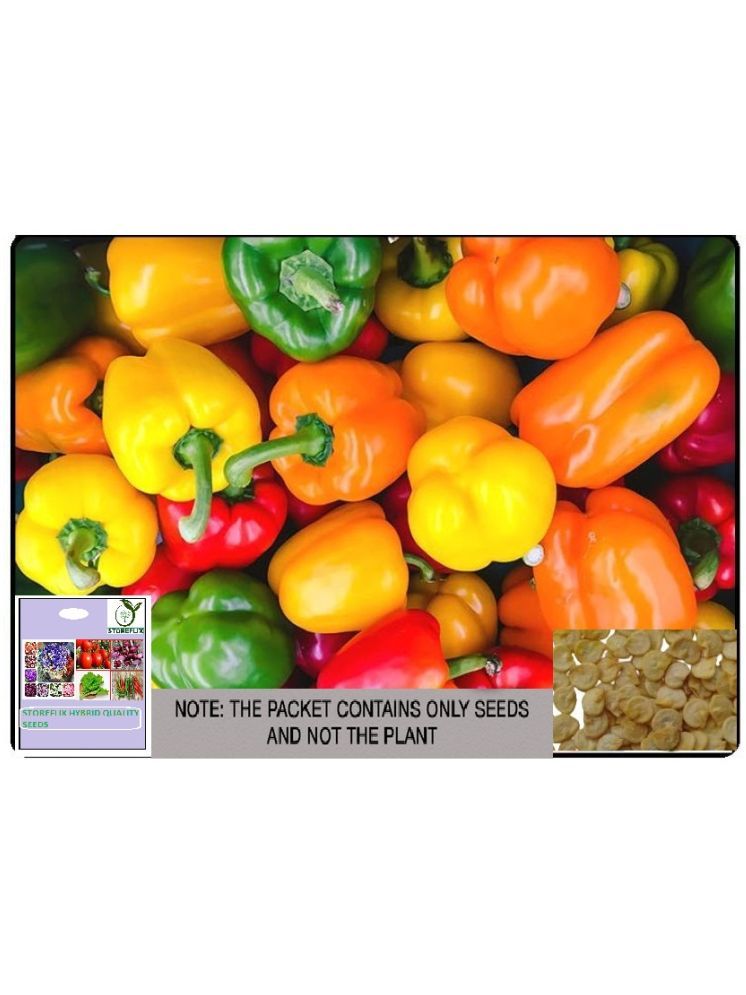     			STOREFLIX Mixed Capsicum Vegetable ( 60 Seeds )