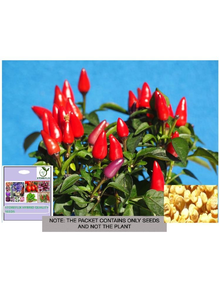     			STOREFLIX Red chilli Vegetable ( 20 Seeds )