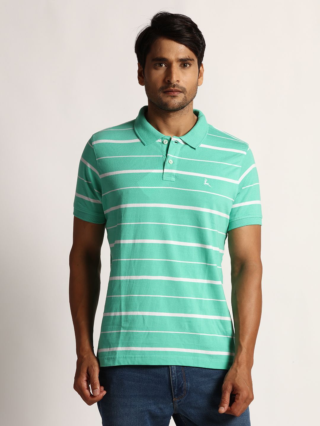     			Park Avenue Cotton Regular Fit Striped Half Sleeves Men's Polo T Shirt - Green ( Pack of 1 )