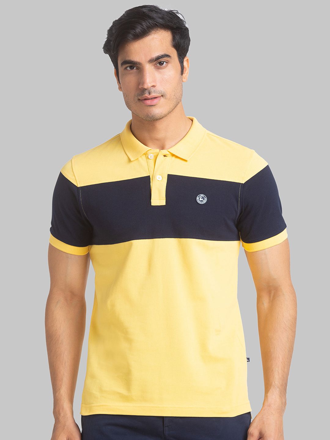     			Park Avenue Cotton Regular Fit Colorblock Half Sleeves Men's Polo T Shirt - Yellow ( Pack of 1 )