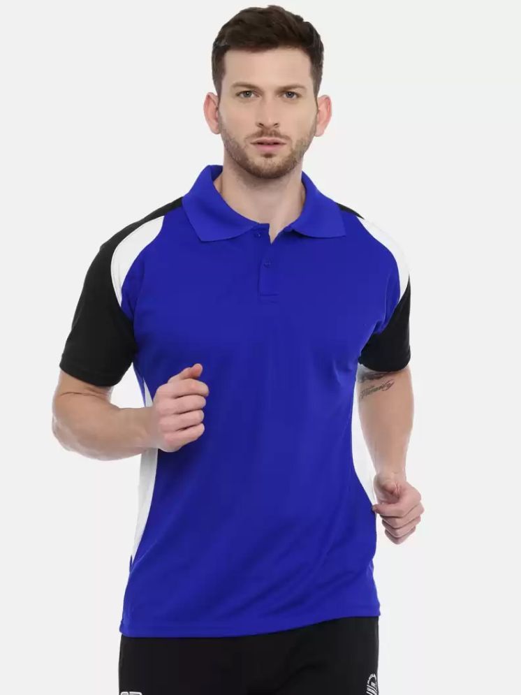     			DAAWEAR OUTFITS Blue Polyester Regular Fit Men's Sports Polo T-Shirt ( Pack of 1 )