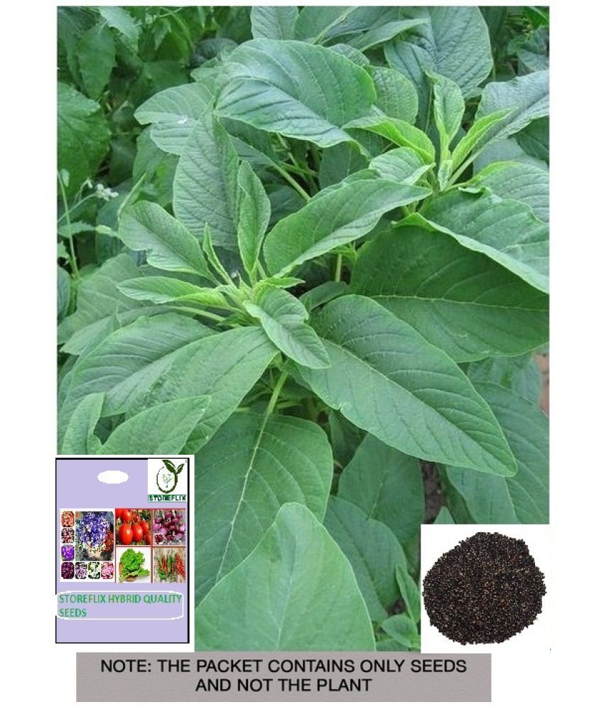     			STOREFLIX Amaranthus Vegetable ( 300 Seeds )