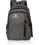 Bluejay Grey Polyester Backpack ( 35 litres )