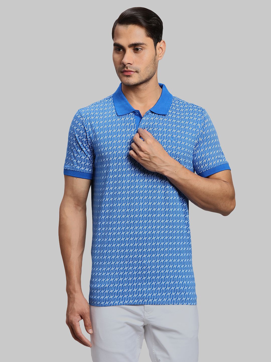     			Parx Cotton Regular Fit Printed Half Sleeves Men's Polo T Shirt - Blue ( Pack of 1 )