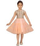 Aarika Net Fit And Flare Dress For Girls ( Pack of 1 , Peach )