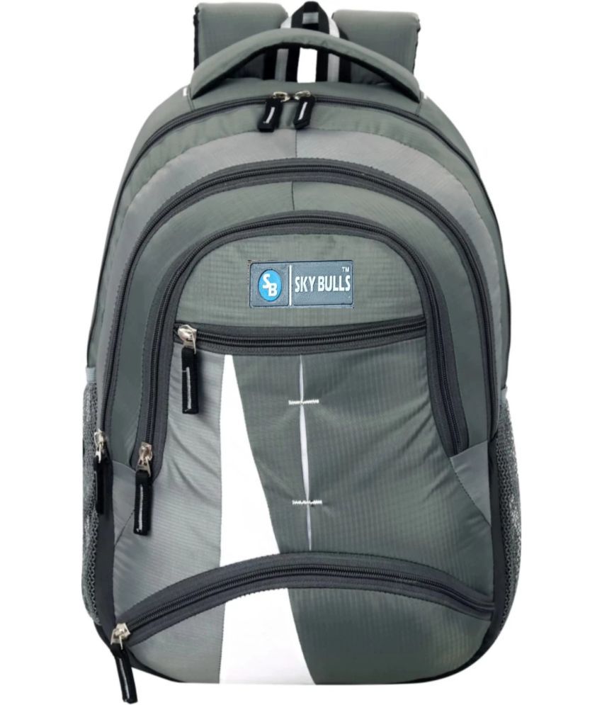     			Sky Bulls Grey Polyester Backpack ( 35 Ltrs )