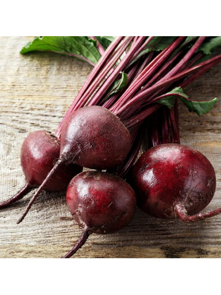     			Jignisha Seeds Organic Beetroot Vegetable ( 50 Seeds )