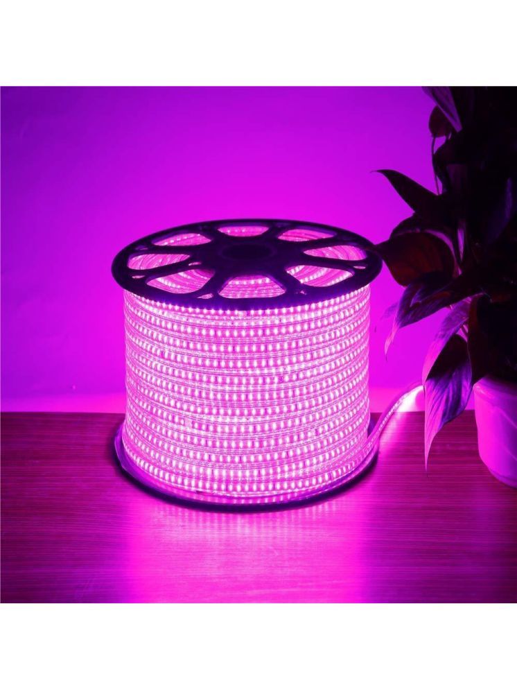     			SPARKWORLD Pink 10 Mtr LED Strip ( Pack of 1 )