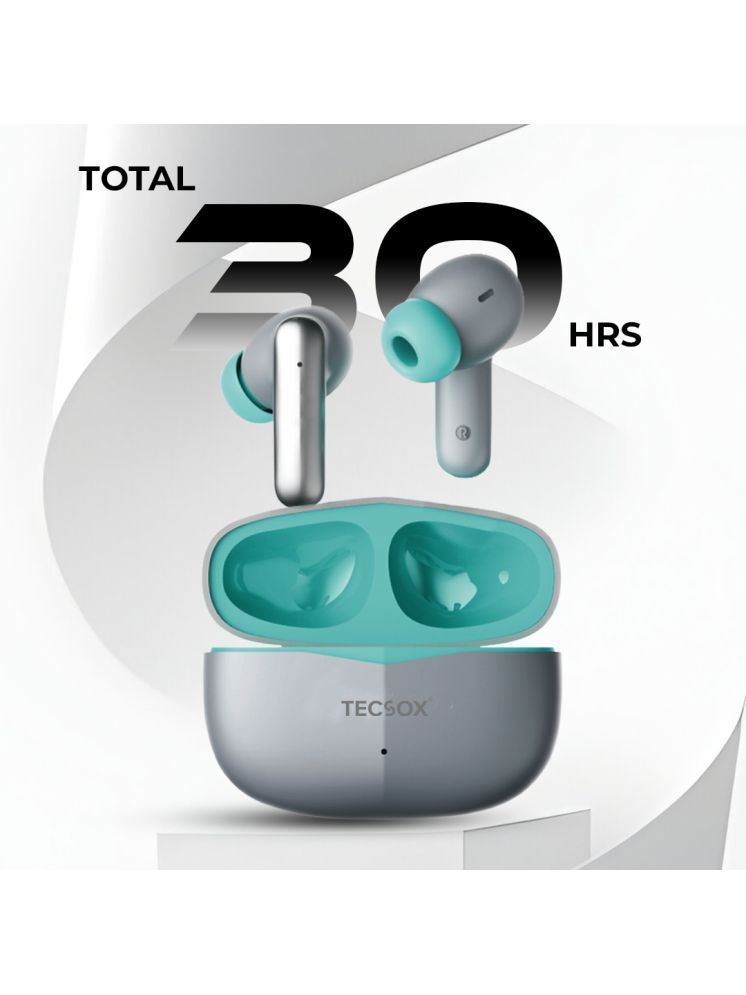     			Tecsox Pro 4 In Ear TWS Gray