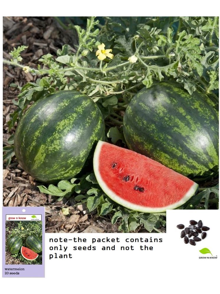     			grow n know Watermelon Fruit ( 20 Seeds )