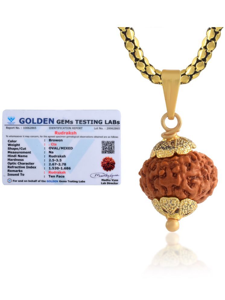     			ADMIER 10 Mukhi Rudraksha Pendant With Chain ( Pack of 1 )