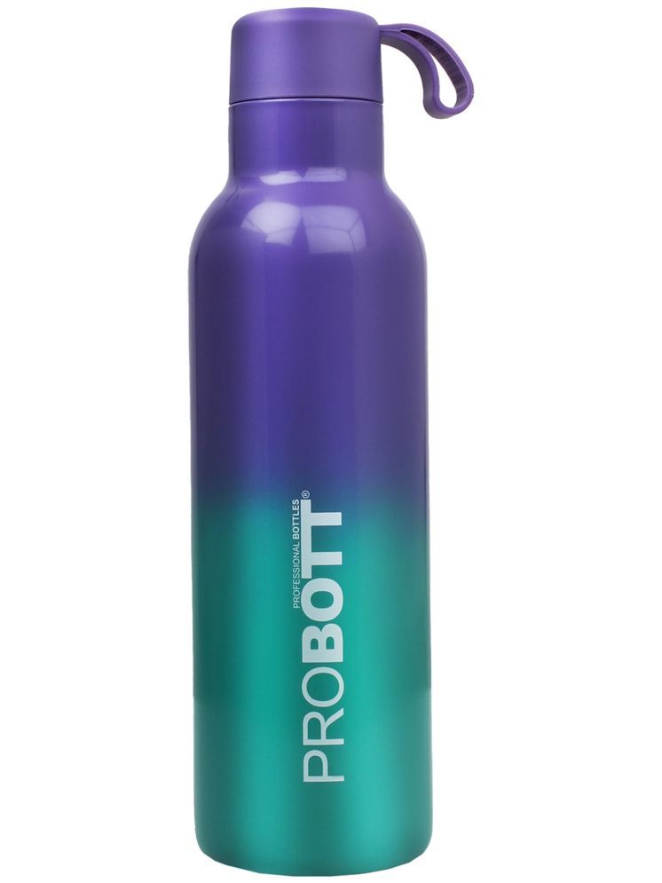     			Probott Dream 500ml Purple Steel Flask ( 500 ml )