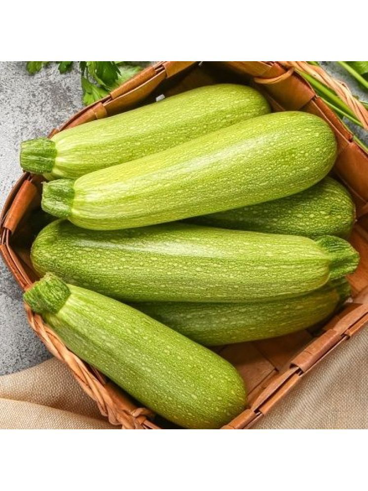     			Jignisha Seeds Hybrid Light Green Zucchini Vegetable ( 10 Seeds )