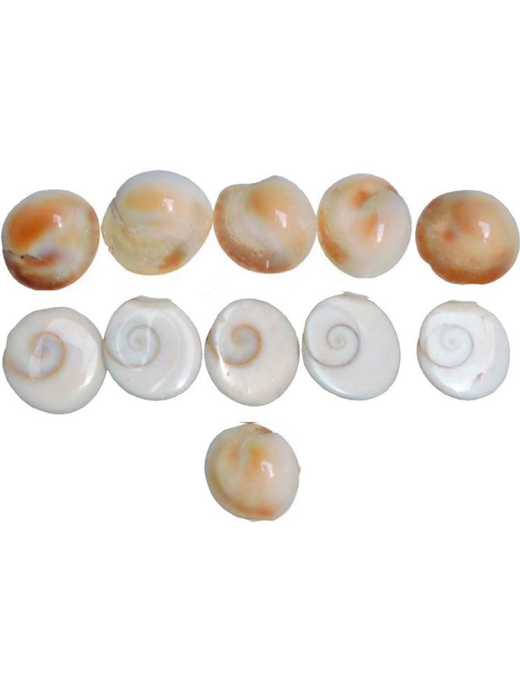     			Shri Astha Vinayak Gomti Chakra 11 ( Pack of 11 )