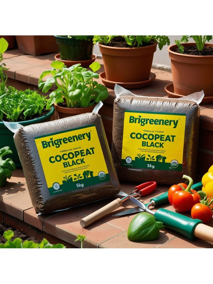     			BriGreenery Bricks Cake ( 5 ) For Lawns and terrace gardening