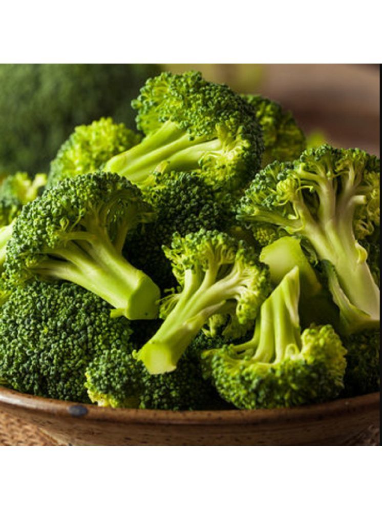     			Jignisha Seeds Hybrid Broccoli Vegetable ( 100 Seeds )