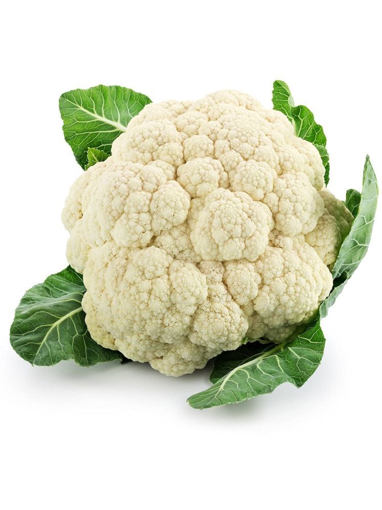     			Jignisha Seeds Hybrid Cauliflower Vegetable ( 100 Seeds )