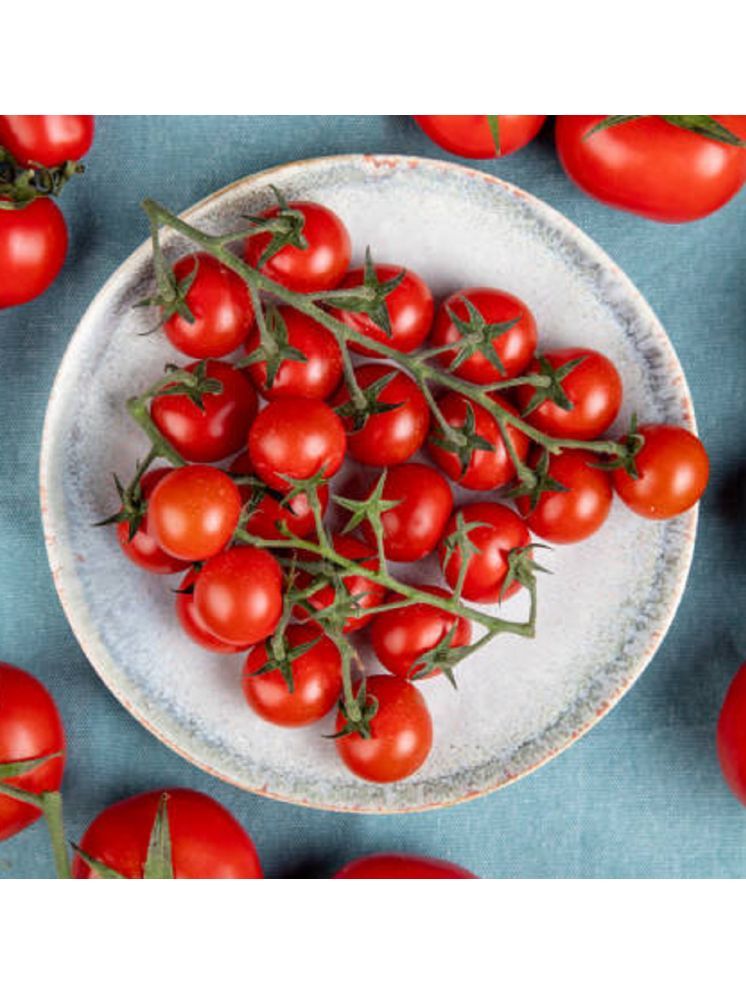     			Jignisha Seeds Hybrid Red Cherry Tomato Vegetable ( 50 Seeds )